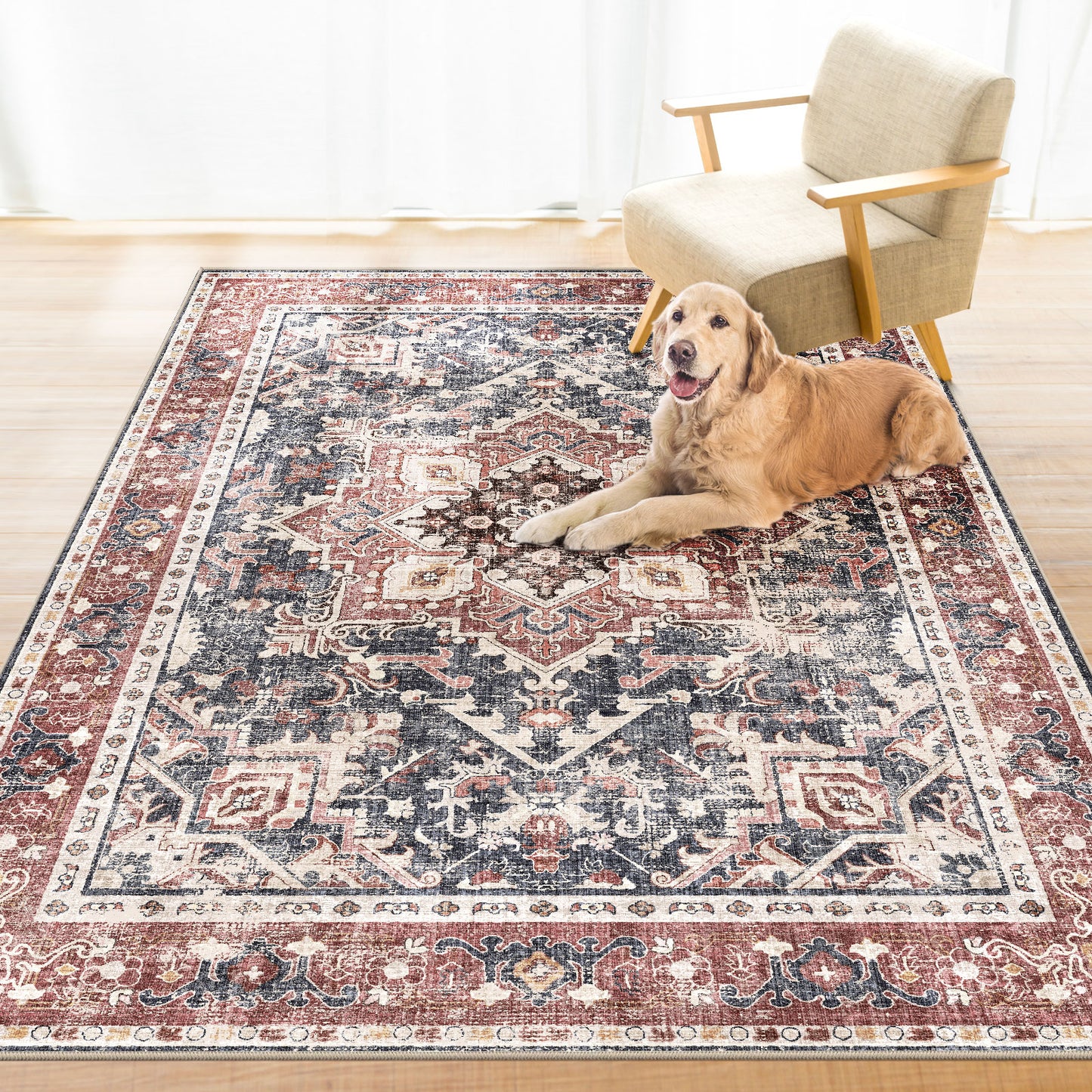 Boho Bliss Antique Red Area Rug