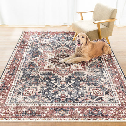 Boho Bliss Antique Red Area Rug